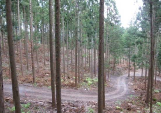 森林整備・路網の設計