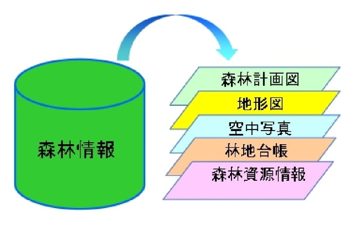 森林情報の分析・デジタル化のイメージ図