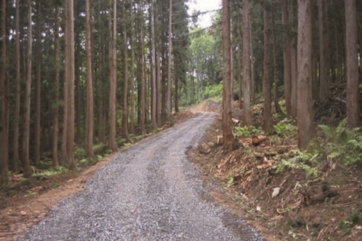 林業専用道
