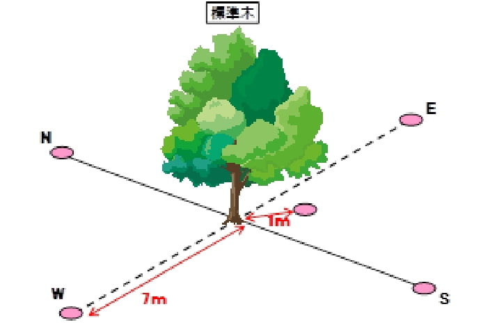 モニタリング調査